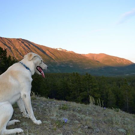 Spirit Lake Lodge 怀特霍斯 外观 照片